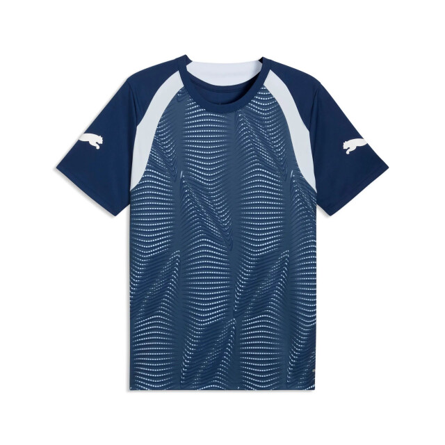 Puma individualfinal jersey voetbalshirt korte mouw heren - 072397_200-L large