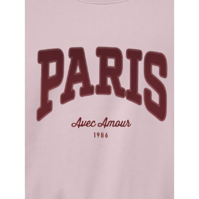 Jacqueline de Yong Jdymesa l/s o-neck emb sweat jrs no 15370526 large