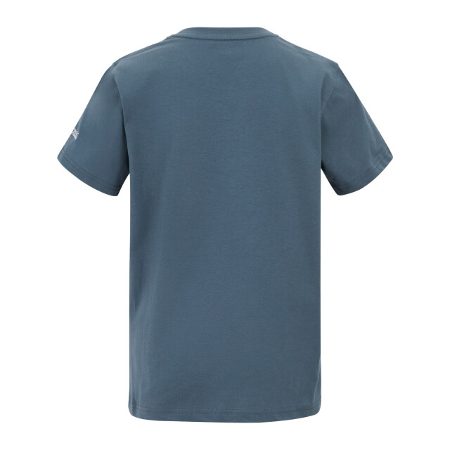 Regatta Kinderen/kinderen bosley voor elk avontuur grafisch t-shirt UTRG12650_chinablue large