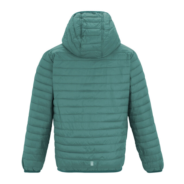 Regatta Childrens/kids hillpack hooded jacket UTRG12628_ivymoss large