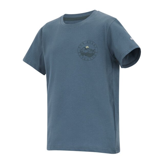 Regatta Kinderen/kinderen bosley voor elk avontuur grafisch t-shirt UTRG12650_chinablue large