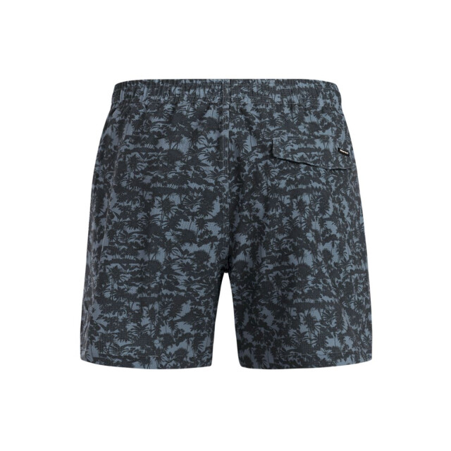 Protest owston beachshort zwemshort heren - 074194_200-M large