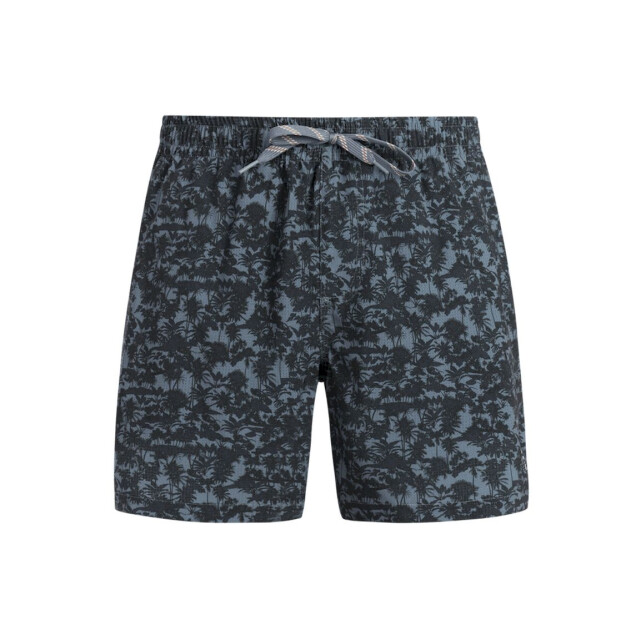 Protest owston beachshort zwemshort heren - 074194_200-M large