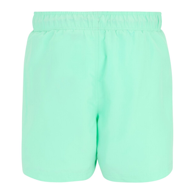Regatta Heren mawson ii zwemshort UTRG7213_icegreensonicblue large