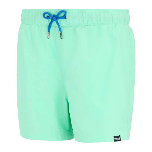 Regatta Heren mawson ii zwemshort UTRG7213_icegreensonicblue large