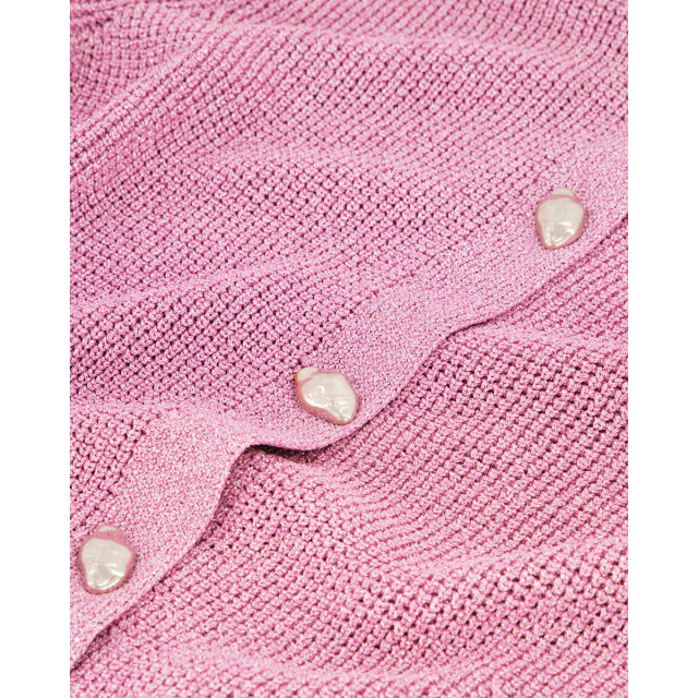 Fabienne Chapot Pullover korte mouw cltcar11 jody Fabienne Chapot Vest CLTCAR11 JODY large