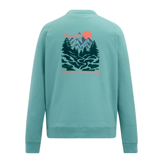 Regatta Heren nithsdale rug sweatshirt met print UTRG12932_arcticgreen large