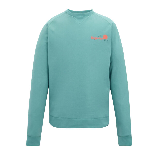 Regatta Heren nithsdale rug sweatshirt met print UTRG12932_arcticgreen large