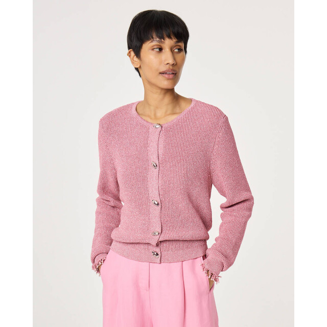 Fabienne Chapot Pullover korte mouw cltcar11 jody Fabienne Chapot Vest CLTCAR11 JODY large