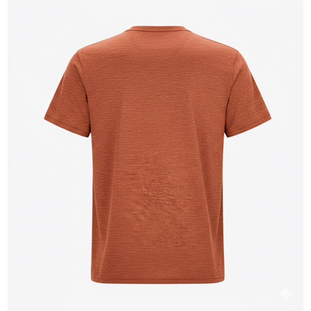 Regatta Heren fingal edition marl t-shirt UTRG5795_rustyorange large