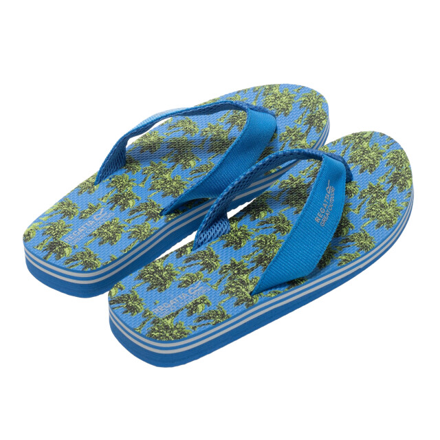 Regatta Heren rico teenslippers UTRG3460_sharpgreensonicblue large