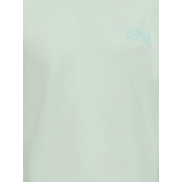 Only Koghelen life ss loose tee mint 2339.21.0004 large