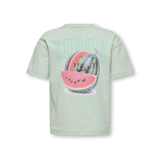 Only Koghelen life ss loose tee mint 2339.21.0004 large