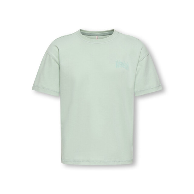 Only Koghelen life ss loose tee mint 2339.21.0004 large