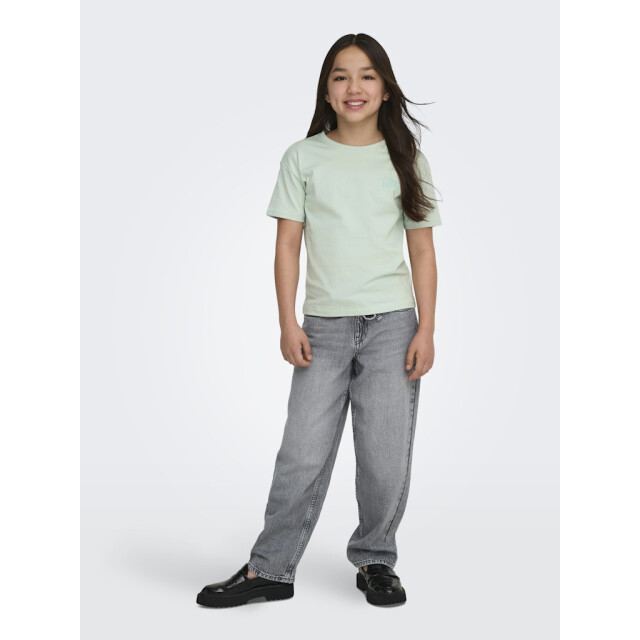 Only Koghelen life ss loose tee mint 2339.21.0004 large