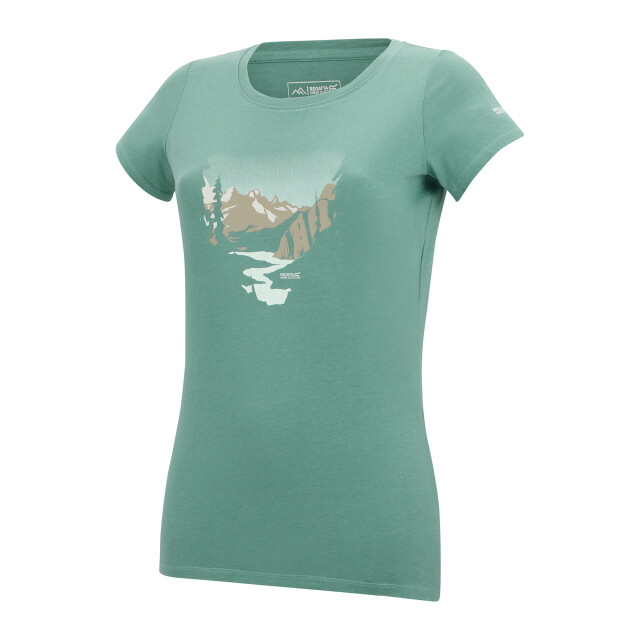 Regatta Dames breezed t-shirt UTRG12709_ivymoss large