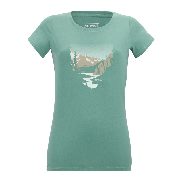 Regatta Dames breezed t-shirt UTRG12709_ivymoss large