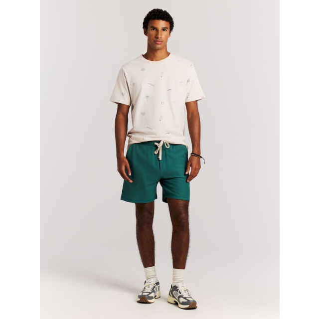 Protest graig shorts strandshort heren - 074186_300-L large