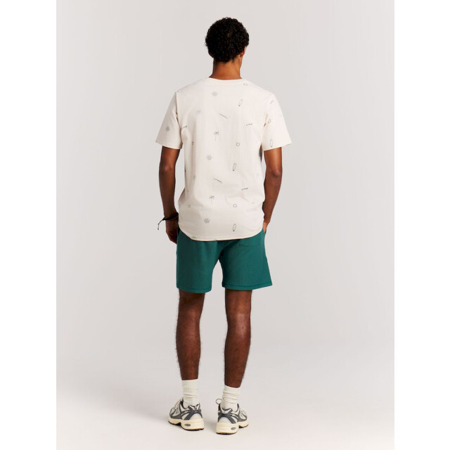 Protest graig shorts strandshort heren - 074186_300-L large