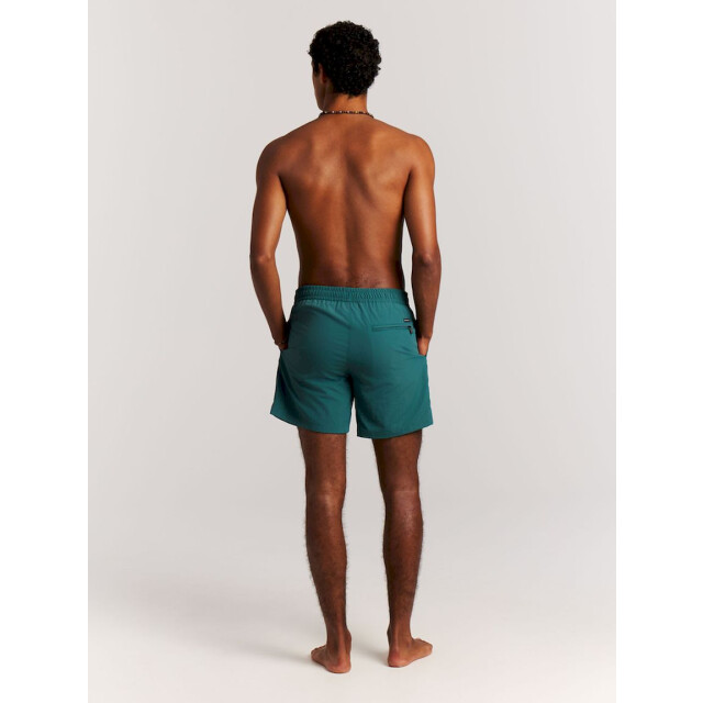 Protest faster beachshort zwemshort heren - 074189_300-L large