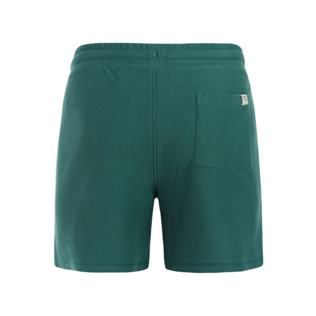 Protest graig shorts strandshort heren - 074186_300-L large