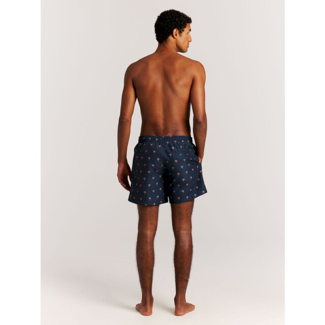 Protest mascot beachshort zwemshort heren - 074195_290-L large