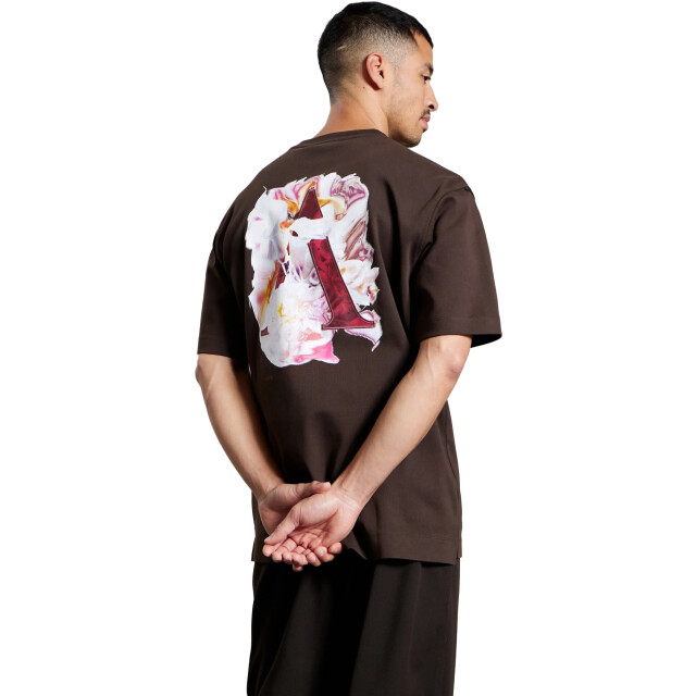 Aeden Evandr tee ganache A22243209-206 large