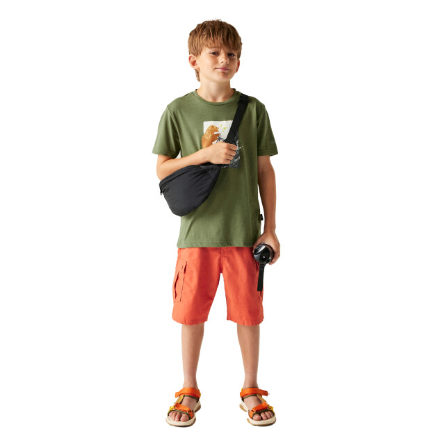 Dare2b Kinderen trailblazer iii logo t-shirt UTRG12959_nephritegreen large