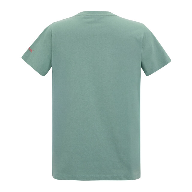 Regatta Dames filandra vx bloom t-shirt UTRG12427_ivymoss large