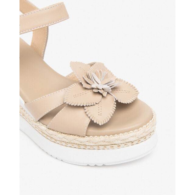 Nero Giardini Sandalen E616012D-453 large