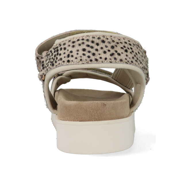 Maruti Beau 66.1653.04-zj2 zilver 66.1653.04 large