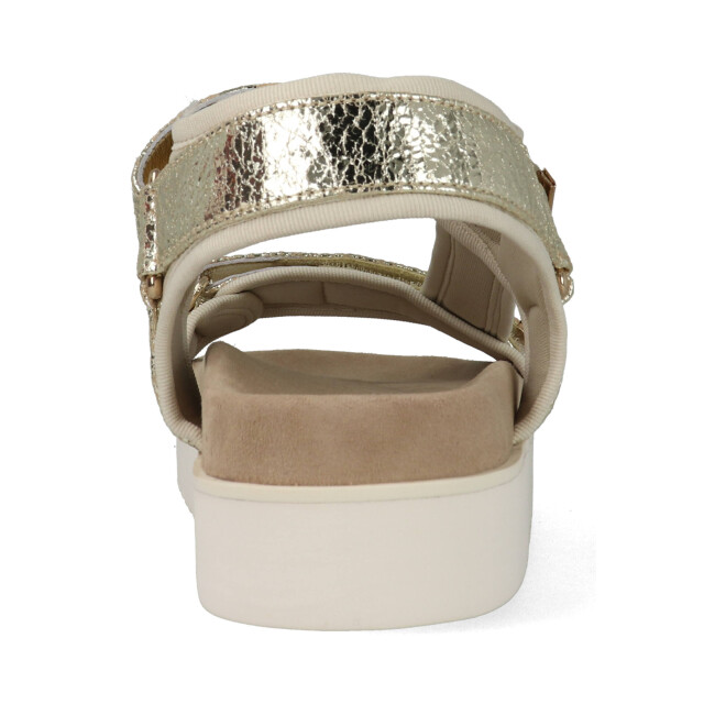 Maruti Beau 66.1653.02-p00 66.1653.02 large