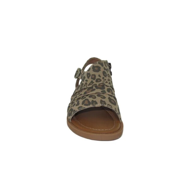 Blowfish Malibu Aspire j7792f1250 sand leopard J7792F1250 large