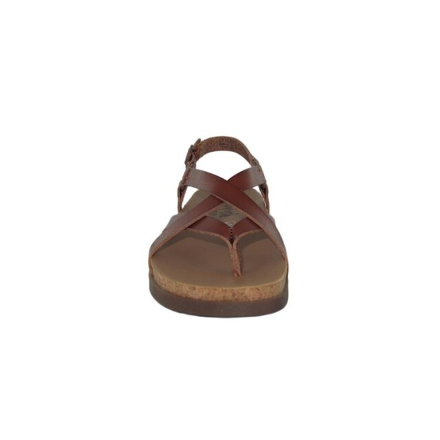 Blowfish Malibu Luster 2 j9039s1200 scotch J9039S1200 large
