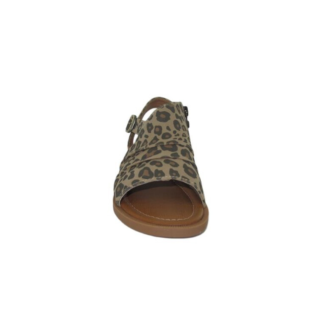 Blowfish Malibu Aspire j7792f1250 sand leopard J7792F1250 large