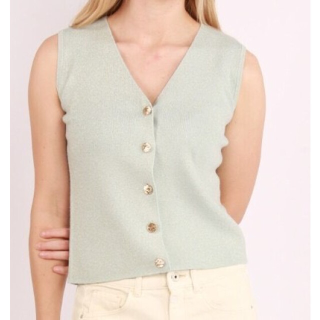 Vila Vicharvi sl button glitter knit vest licht 4259.31.0019 large