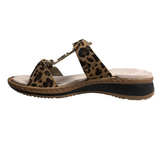 Ara 12-29003 hawaii 12-29003 Hawaii large