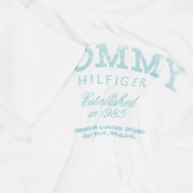 Tommy Hilfiger Kinder jongens t-shirt in 2016604289442 large