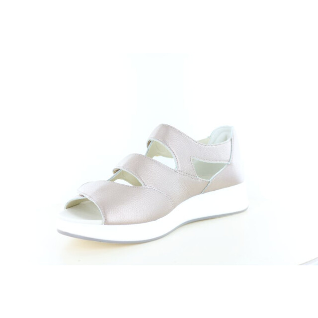 Solidus 75036 wijdte h 290.97.024 large