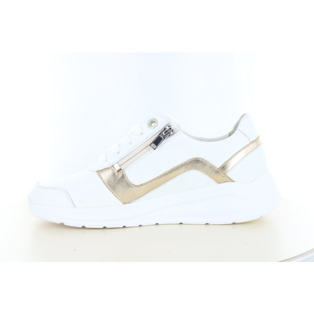 Solidus 54512 wijdte h/k 237.10.463 large