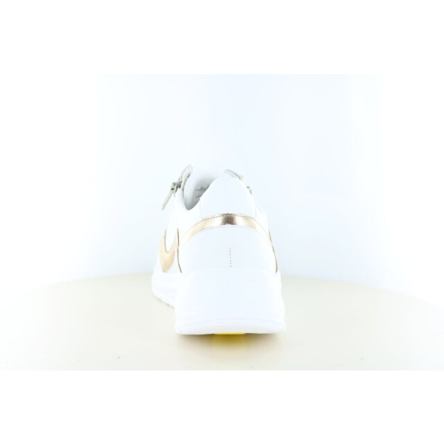 Solidus 54512 wijdte h/k 237.10.463 large