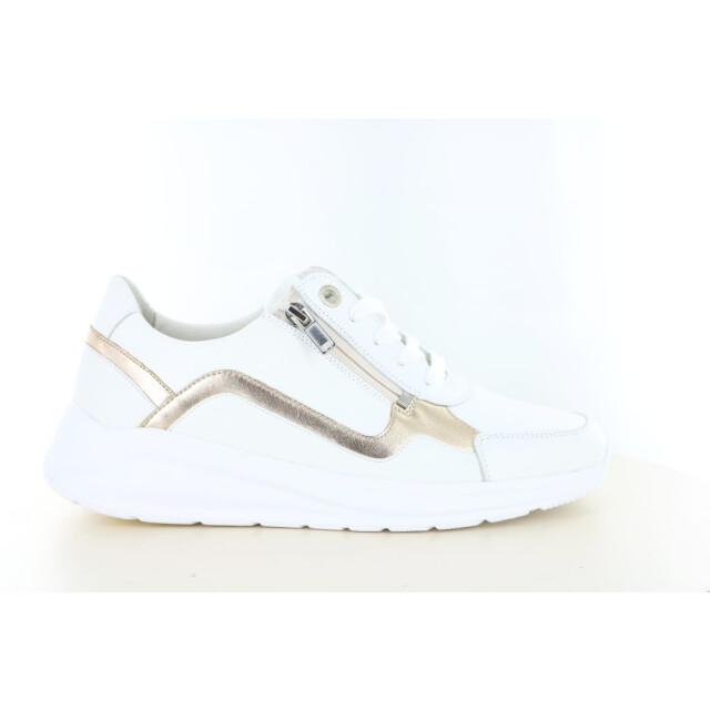 Solidus 54512 wijdte h/k 237.10.463 large