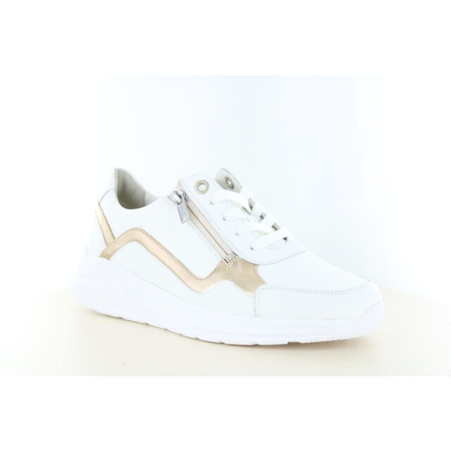 Solidus 54512 wijdte h/k 237.10.463 large