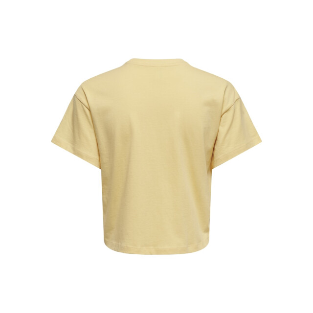 Only Onlbella ss fruit top box jrs mango 4339.16.0010 large