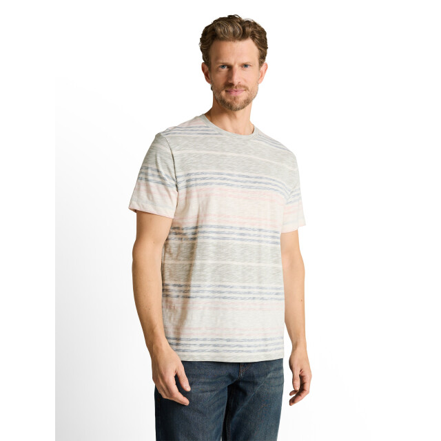 Tom Tailor Inside printed stripe t-shirt 1050207 large