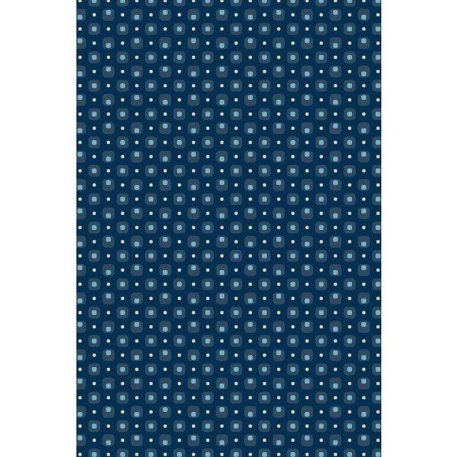 R.B. Boston Casual hemd lange mouw franklin ls button down 527670/625 199913 large