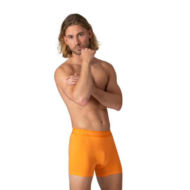 Muchachomalo 10-pack  boxers solid: black blue green orange purpl Black Bliue Green Orange Purple/10-PACK Solid large