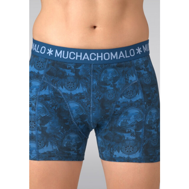 Muchachomalo Pirateparrot1010-01 blue print - boxers Blue Print Print/U-PirateParrot1010-01 large