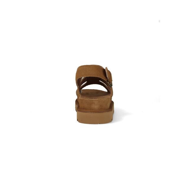 Warmbat Sandalen wenlock 36wnl311025 36WNL311025 large