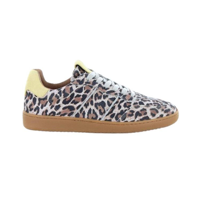 DWRS Label Poona leopard Poona Leopard large